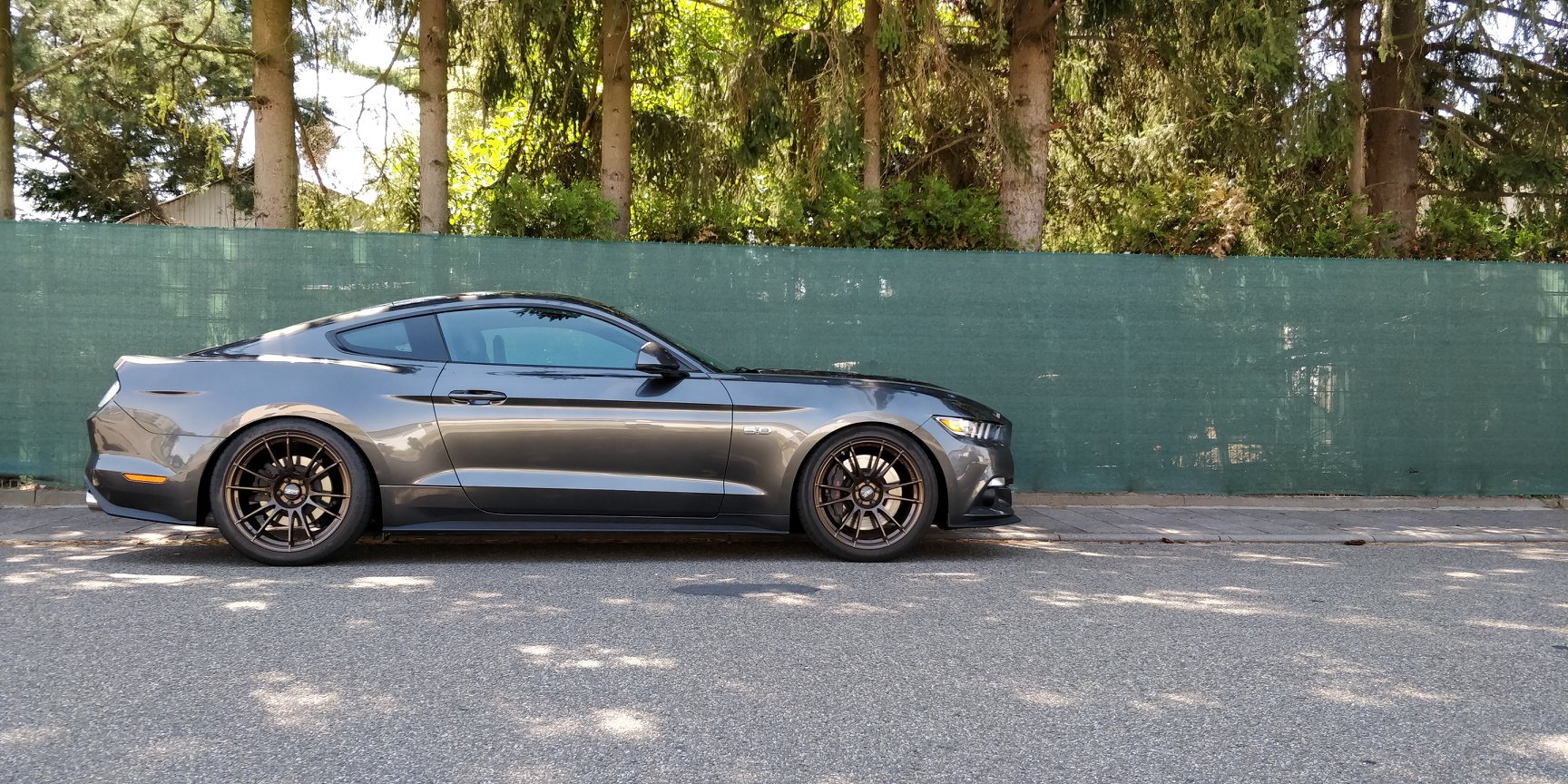 Ford Mustang Abstimmung RSC